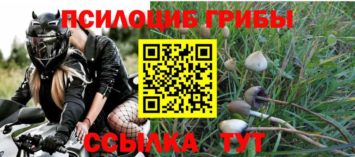 Галлюциногенные грибы GOLDEN TEACHER Мариинск