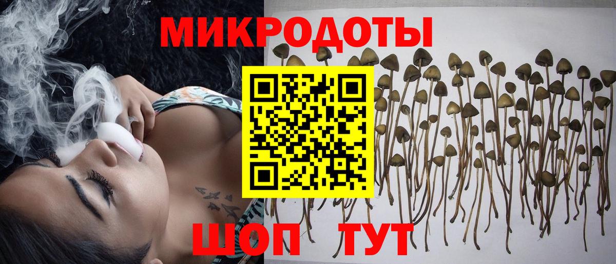 Мариинск  Галлюциногенные грибы Psilocybine cubensis  купить наркоту  Вход с VPN 